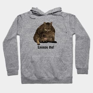 Excuse Me funny cat Hoodie